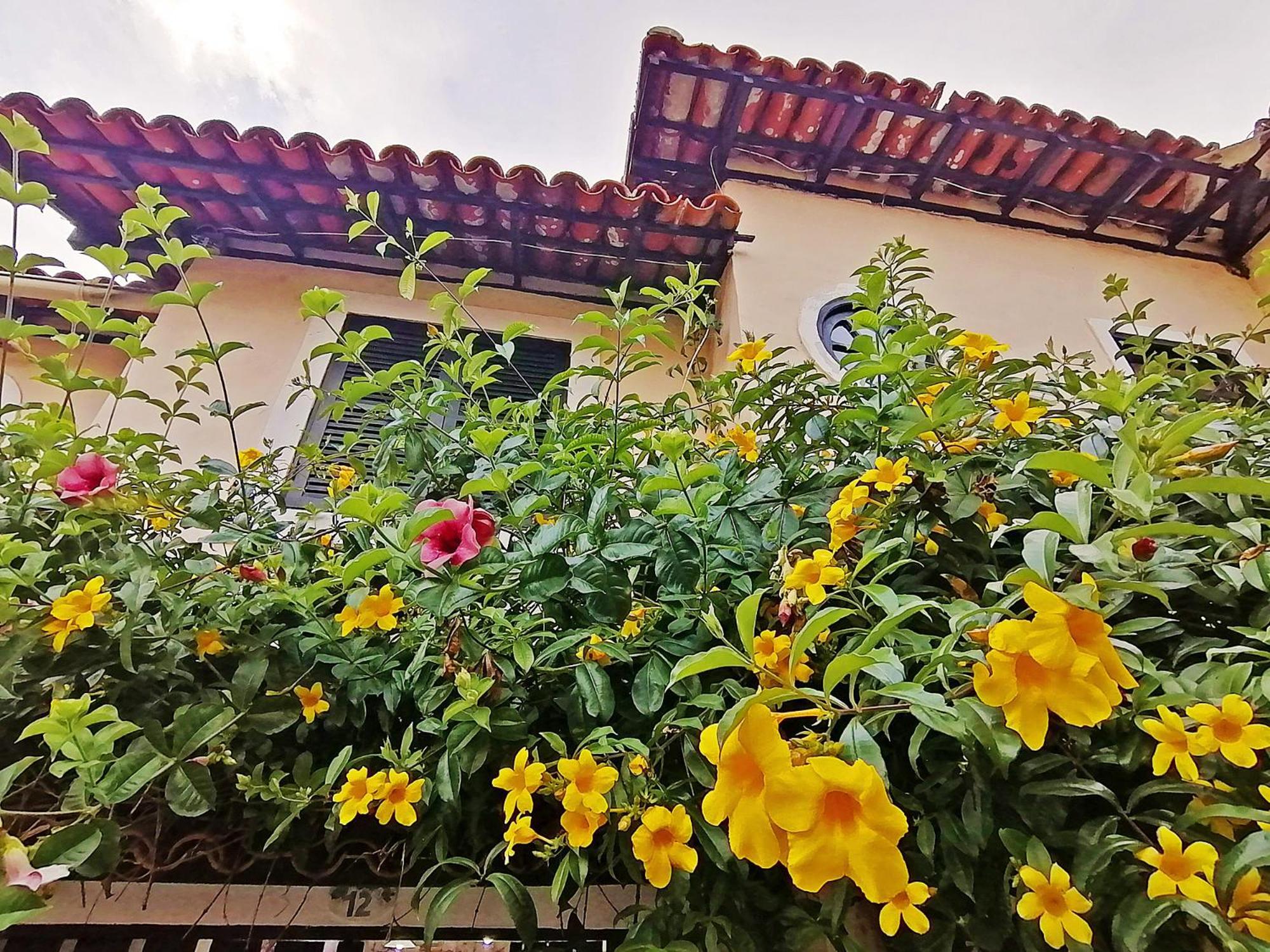 Casa A 500M Da Rua Das Pedras Em Lindo Condominio Com Portaria 24H Búzios Exterior foto