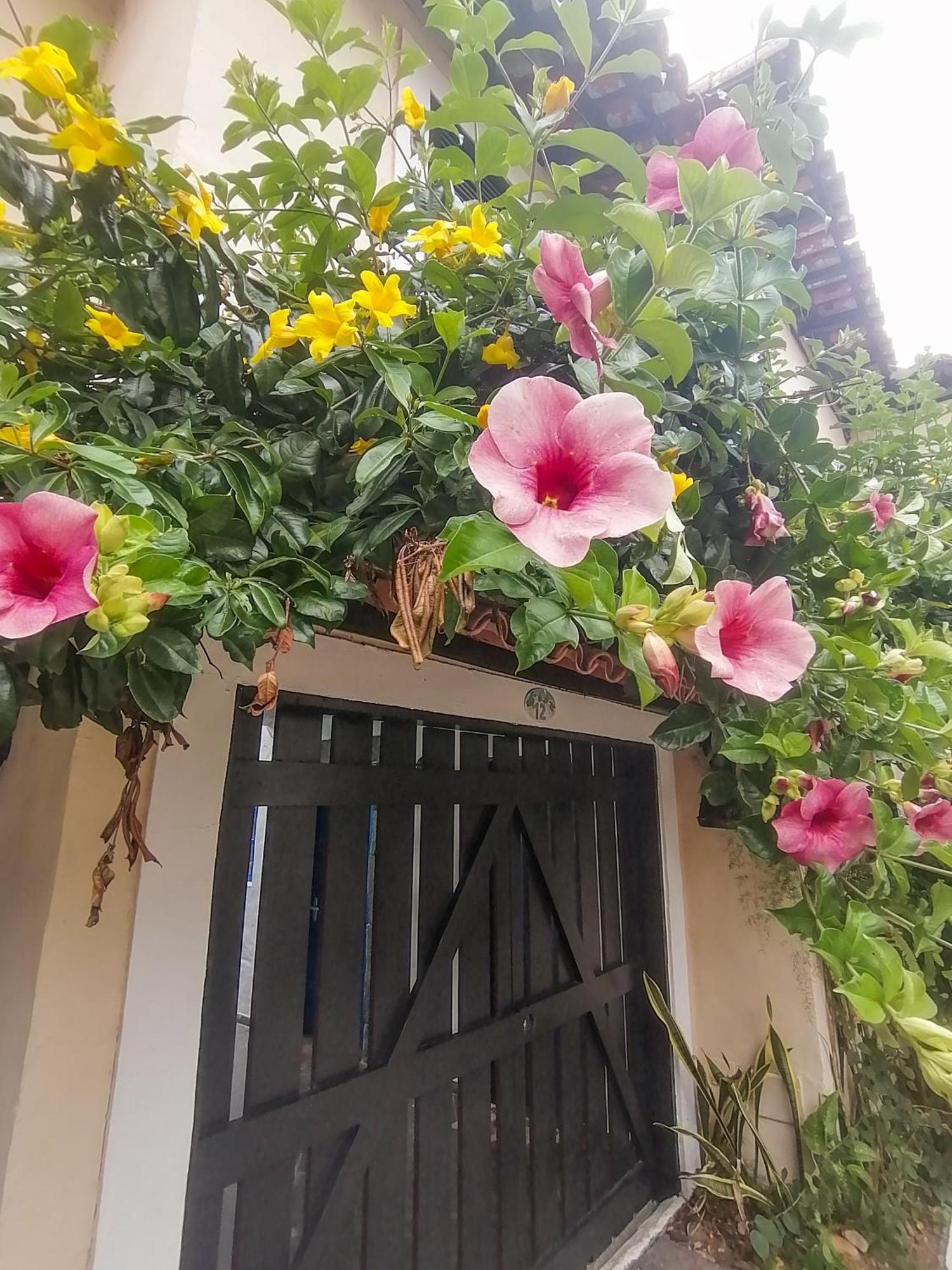 Casa A 500M Da Rua Das Pedras Em Lindo Condominio Com Portaria 24H Búzios Exterior foto
